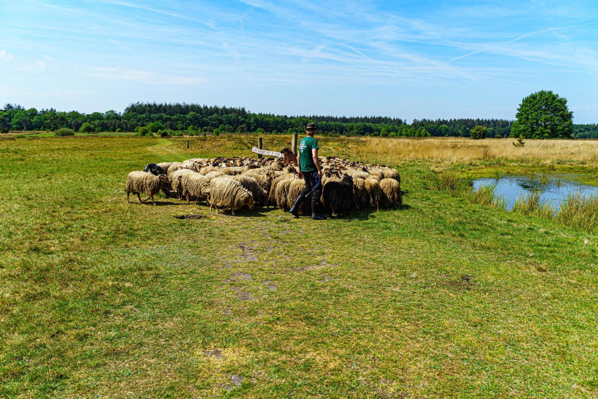 Mini Camping Drentse Monden Nieuw-Weerdinge Esterno foto